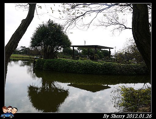 20120126_綠風035.jpg