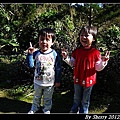 20120212_桃源仙谷012.jpg