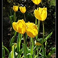 20120212_桃源仙谷022.jpg