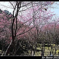 20120212_桃源仙谷058.jpg