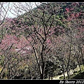 20120212_桃源仙谷066.jpg