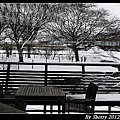 20120226_151