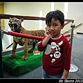 20120408_動物園0027