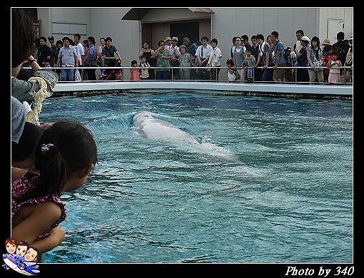 20120715_077_八景島