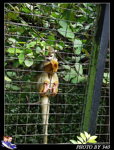 20121104_動物園011