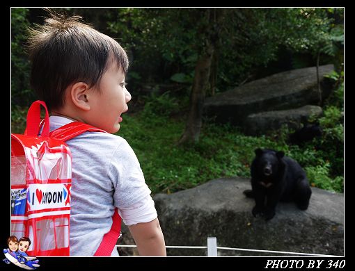 20121104_動物園019