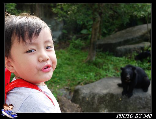 20121104_動物園020