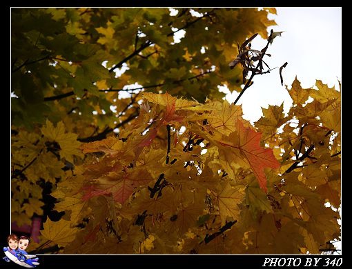 20121004_Titisee0015