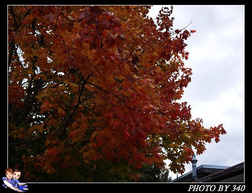 20121004_Titisee0058