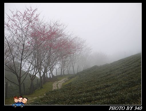 20130126_山上人家066