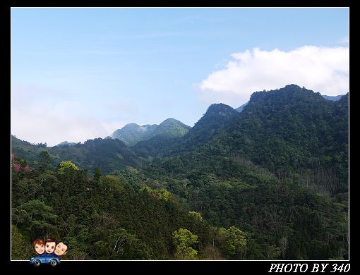 20130212_山行玫瑰050