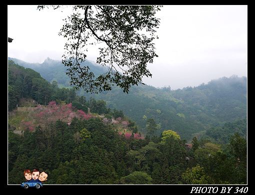 20130212_山行玫瑰075