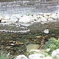 20101106_00_0063.JPG