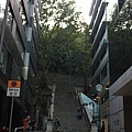 20110122_0067.JPG