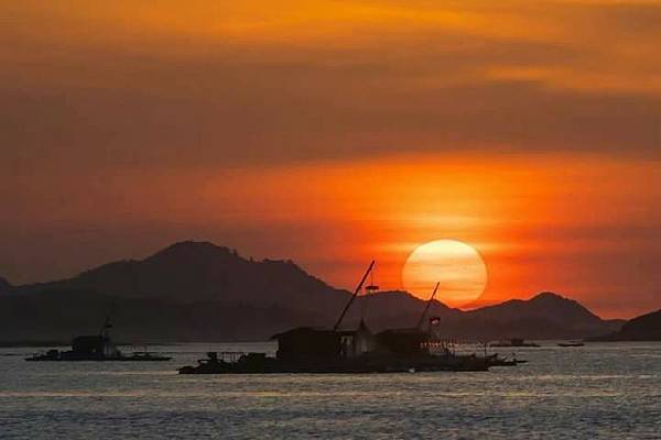 雁漪－詞牌《喝火令》