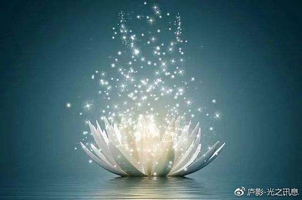 4970b07ely1g04rstg1uxj20hs0brgsl.jpg 4970b07ely1g04rstg1uxj20hs0brgsl.jpg