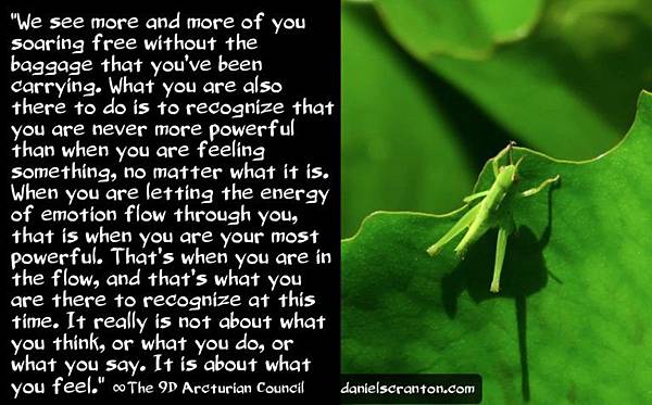 the-power-of-being-in-the-flow-the-arcturian-council-768x477.jpg