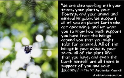 there-is-arcturian-support-all-around-you-the-9th-dimensional-arcturian-council-channeled-by-daniel-scranton-400x251.jpg