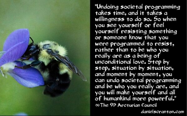 undo-societal-programming-be-more-powerful-the-9th-dimensional-arcturian-council-channeled-by-daniel-scranton-channeler-of-archangel-michael-600x372.jpg