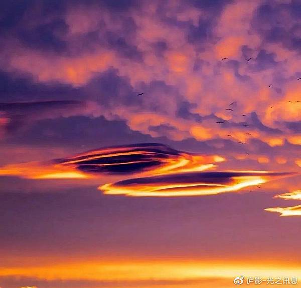 4970b07ely1gpzmyzqe5yj20n40m51di.jpg 4970b07ely1gpzmyzqe5yj20n40m51di.jpg