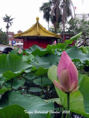 植物園