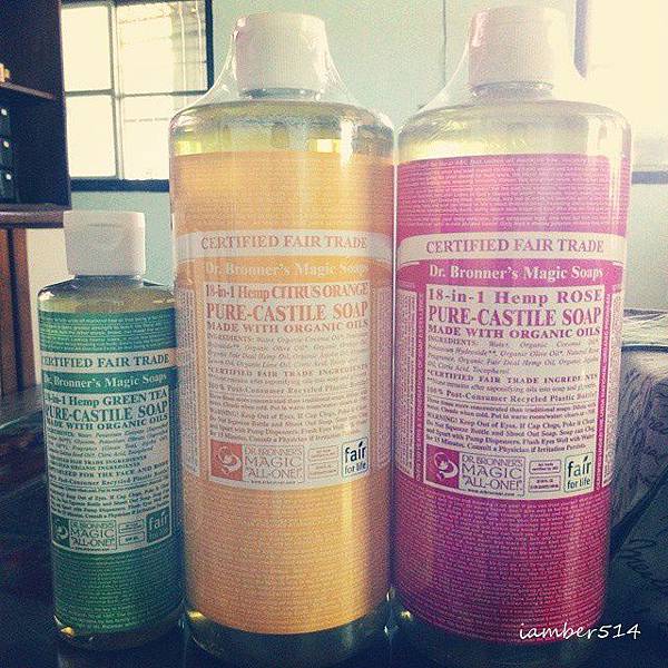 11325878_1418443898482061_356185108_n