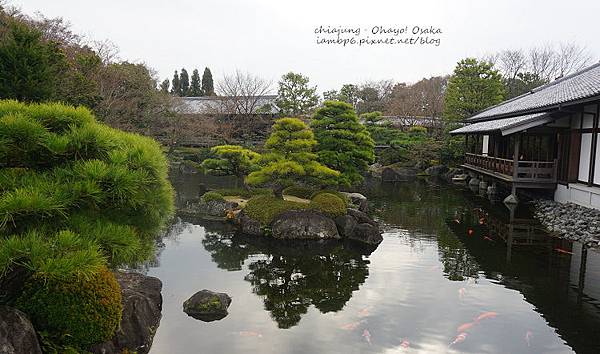 姬路城旁的日式庭園，好古園 Day 3