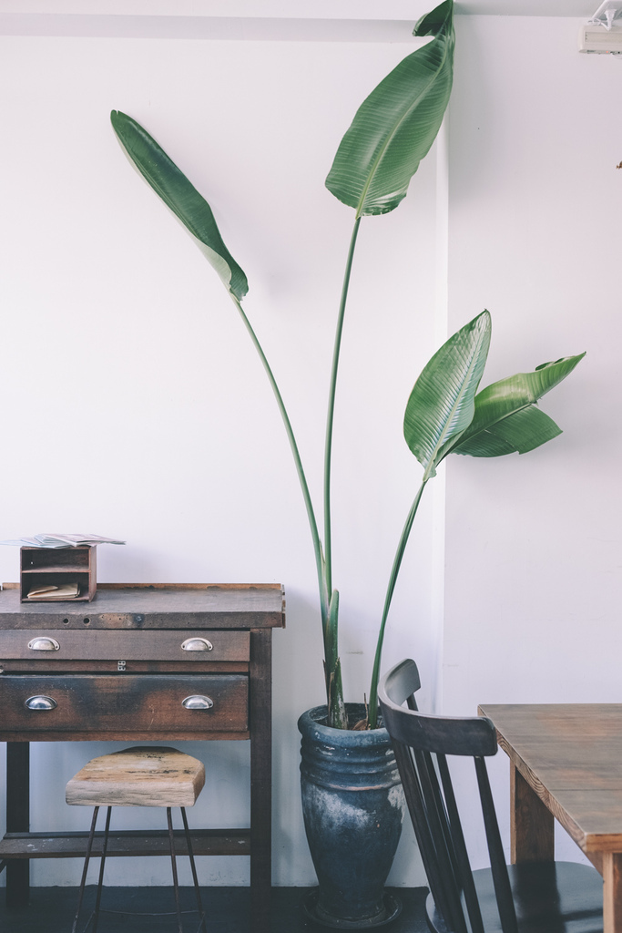 DSCF5283.jpg DSCF5283.jpg