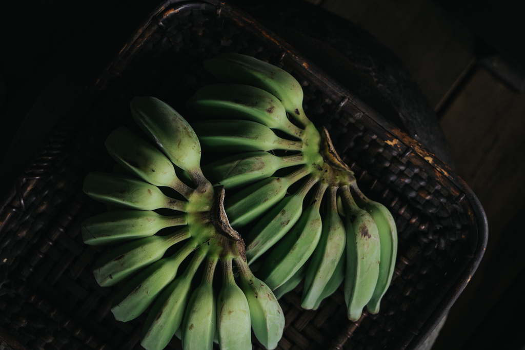 CCC02862.jpg CCC02862.jpg