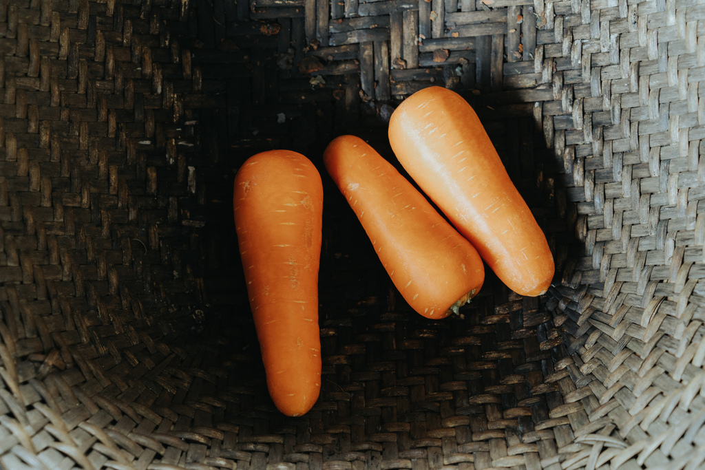 CCC02899.jpg CCC02899.jpg