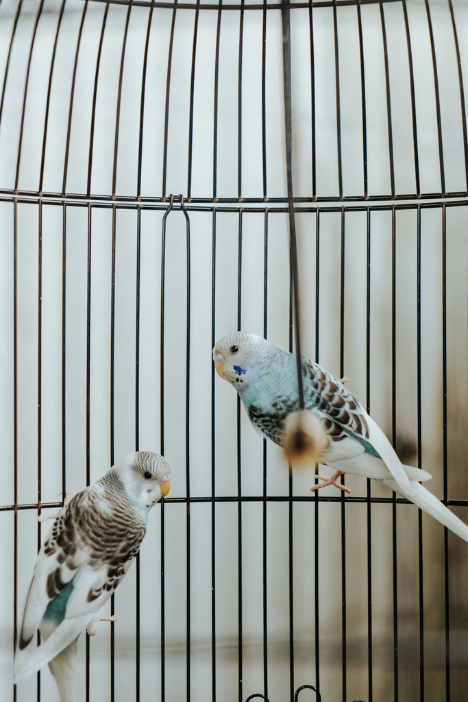 CCC02902.jpg CCC02902.jpg