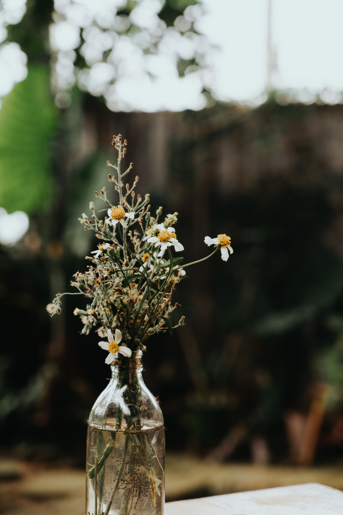 CCC02919.jpg CCC02919.jpg