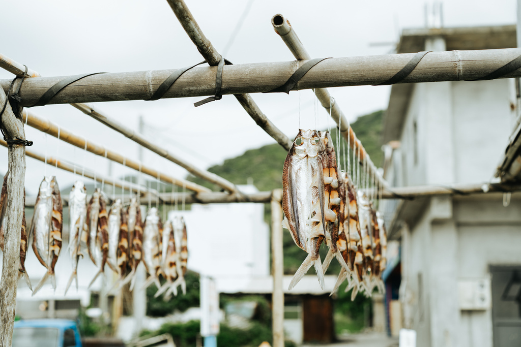 一年只有三個季節的蘭嶼：夏季、冬季、飛魚季。