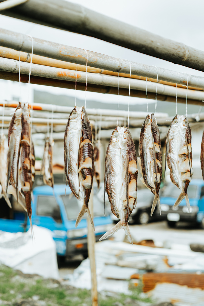 一年只有三個季節的蘭嶼：夏季、冬季、飛魚季。