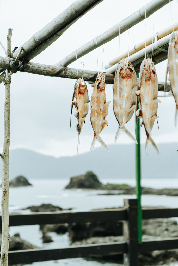 一年只有三個季節的蘭嶼：夏季、冬季、飛魚季。