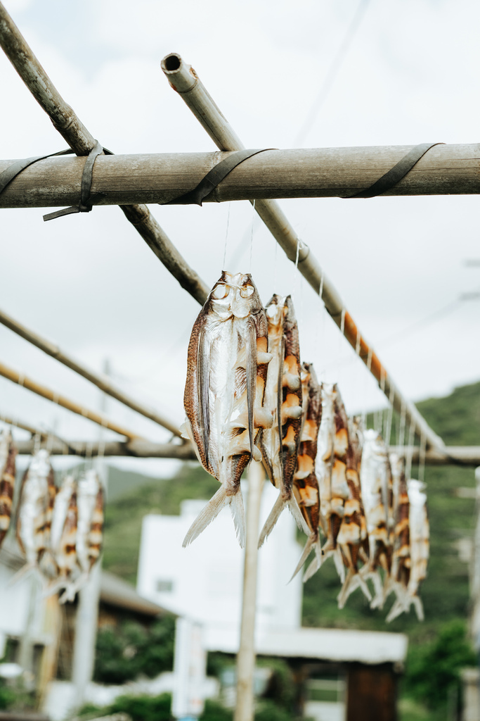 一年只有三個季節的蘭嶼：夏季、冬季、飛魚季。