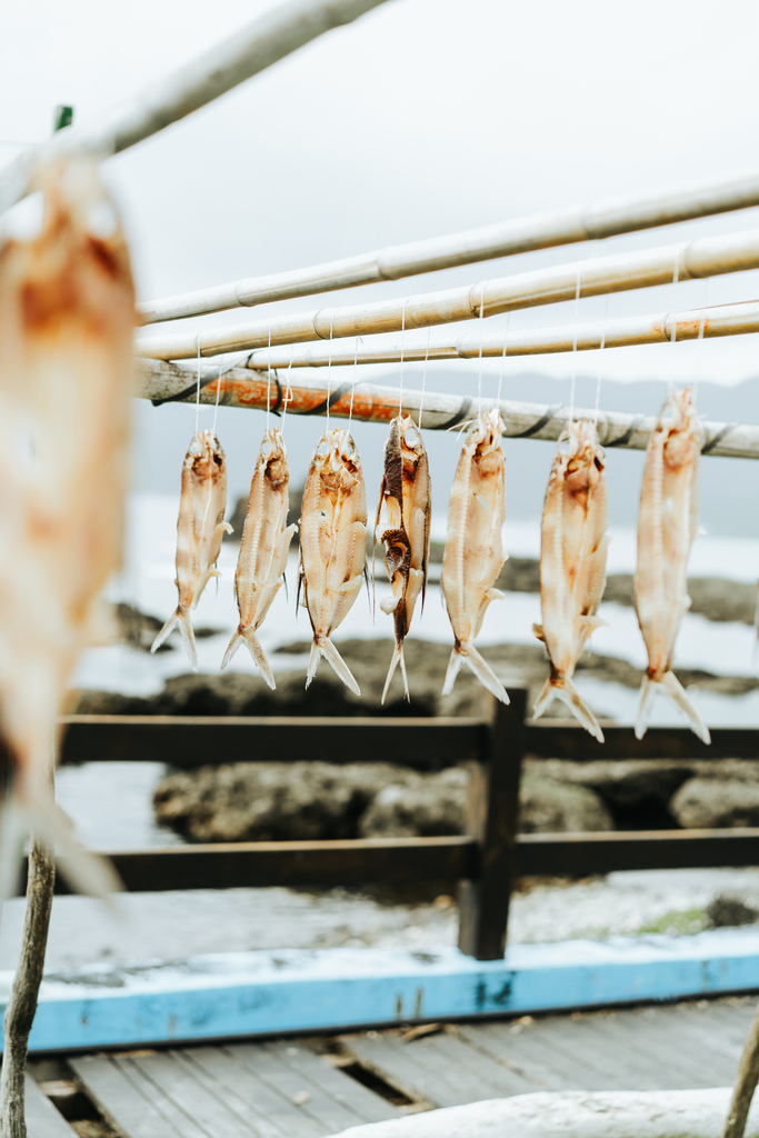 一年只有三個季節的蘭嶼：夏季、冬季、飛魚季。