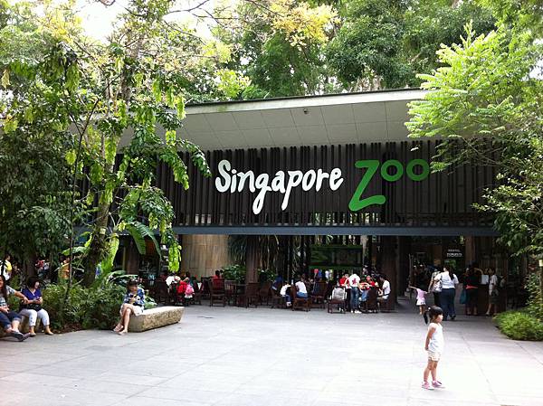 Sinapore zoo 新加坡動物園