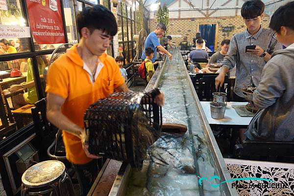 DSC02195.JPG DSC02195.JPG