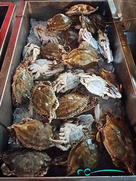 1521074794618.jpg 1521074794618.jpg