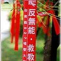 綠樹開紅花.jpg