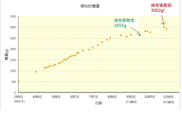 偶怡體重圖.jpg