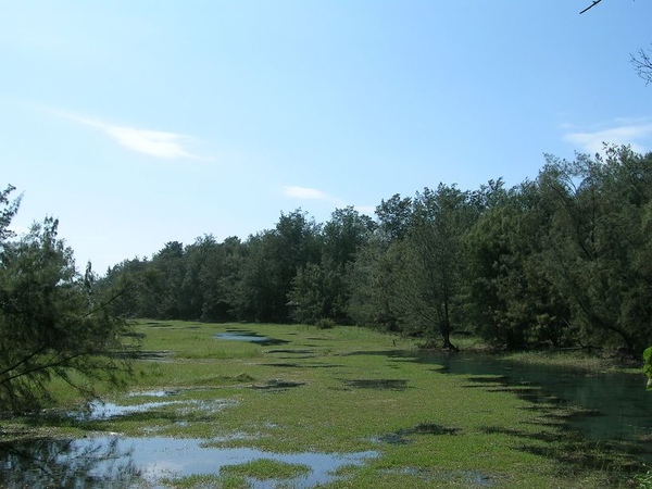 台東森林公園