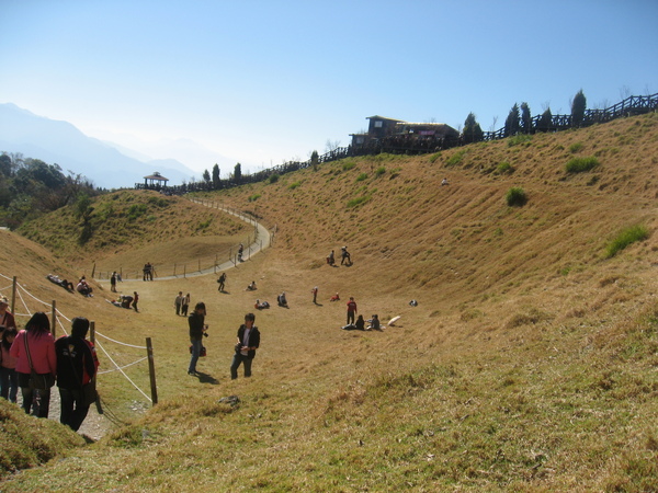 青青草原山坡4.JPG