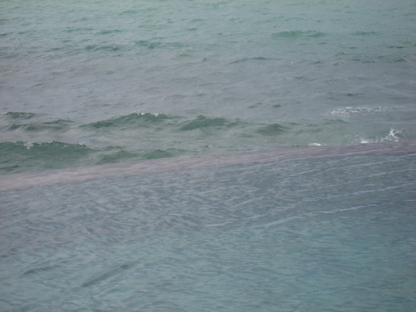麗池卡登海邊泳池10.jpg