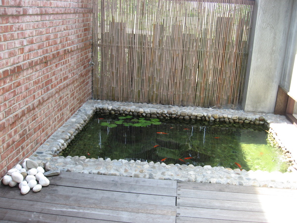 水池.JPG