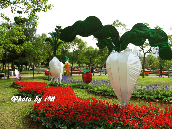 大安森林公園_蔬菜之舞