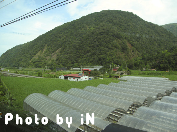 箱根溫泉旅館_溫室.JPG