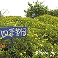 TINA廚房橋頭店_四季花園.JPG