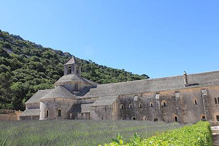 IMG_9239 IMG_9239